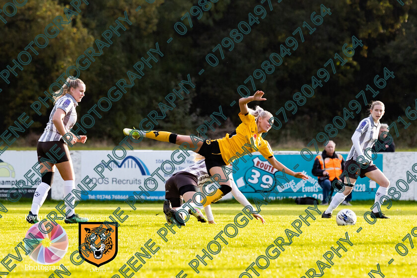 HCLFCvsWOLVESWOMEN-55 
 Keywords: kevin@kevingreenephotography.co.uk, professional photography services, hull city ladies fc, photographers yorkshire, women in football, photographers hull, football hull, football for girls, photography services, womens sport, kevin greene photography, photography, football for women, womensfootball, kevin greene brand photography, photographer hull, hullcityladiesfc, photographers near me, kevingreenephotography, football photos, professional services, northern premier league, womeninfootball, sport, football., football kit, hull city womens football, kevin greene hull, sporthull, sport photography, photographers, sport action photos, sports, womens football