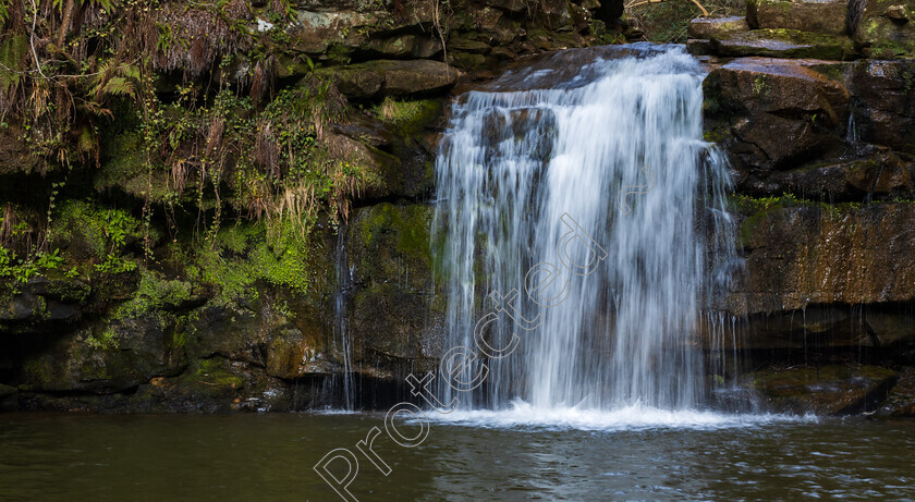 waterfalls-20 
 Keywords: hull photographers, photography gift, photography gift ideas, waterfalls, kevin greene photography, photography, professional photography services, photographers, photography vouchers, waterfalls north yorkshire, landscape photography tuition, photography tuition, photographers near me